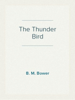 The Thunder Bird