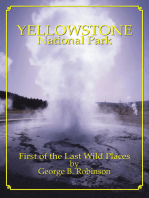 Yellowstone National Park