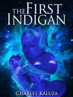 The First Indigan