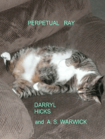 Perpetual Ray