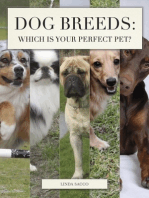 Dog Breeds: Which is Your Perfect Pet?