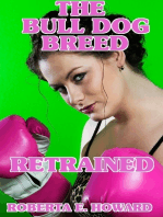 The Bull Dog Breed Retrained