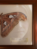 The Atlas Moth