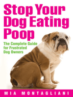 Stop Your Dog Eating Poop: The Complete Guide for Frustrated Dog Owners