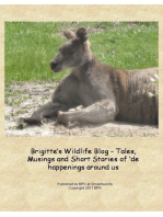 Brigitte’s Wildlife Blog: Tales and Stories of ‘de happenings around us