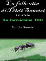 La folle vita di Didì Sancisi