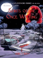 Spirit of the Once Walking