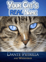 Your Cat's REAL Name