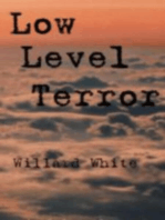 Low Level Terror