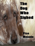 The Dog Who Sighed