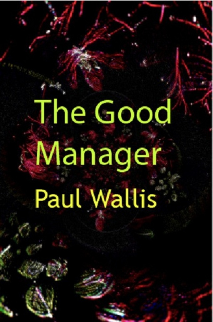 Read The Good Manager Online by Paul Wallis Books Free 30day Trial