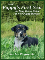 Your Puppy's First Year