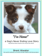 I'm Home! a Dog's Never Ending Love Story- Animal Life After Death -Dog Heaven, Dog's purpose for reincarnation, animal soul contracts