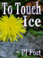 To Touch Ice