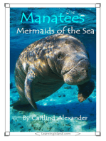 Manatees: Mermaids of the Sea