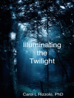 Illuminating the Twilight