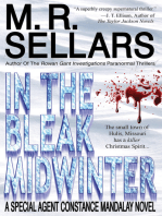 In The Bleak Midwinter: A Special Agent Constance Mandalay Novel