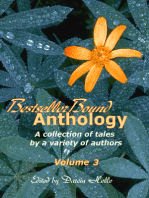 BestsellerBound Short Story Anthology Volume 3