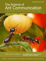 The Science of Ant Communication: A Discussion of How Ants Talk to Each Other