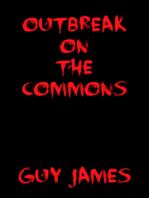 Outbreak on the Commons: A Short Story