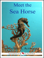 Meet the Sea Horse: A 15-Minute Book