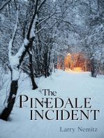 Pinedale Incident