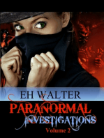 Paranormal Investigations 2