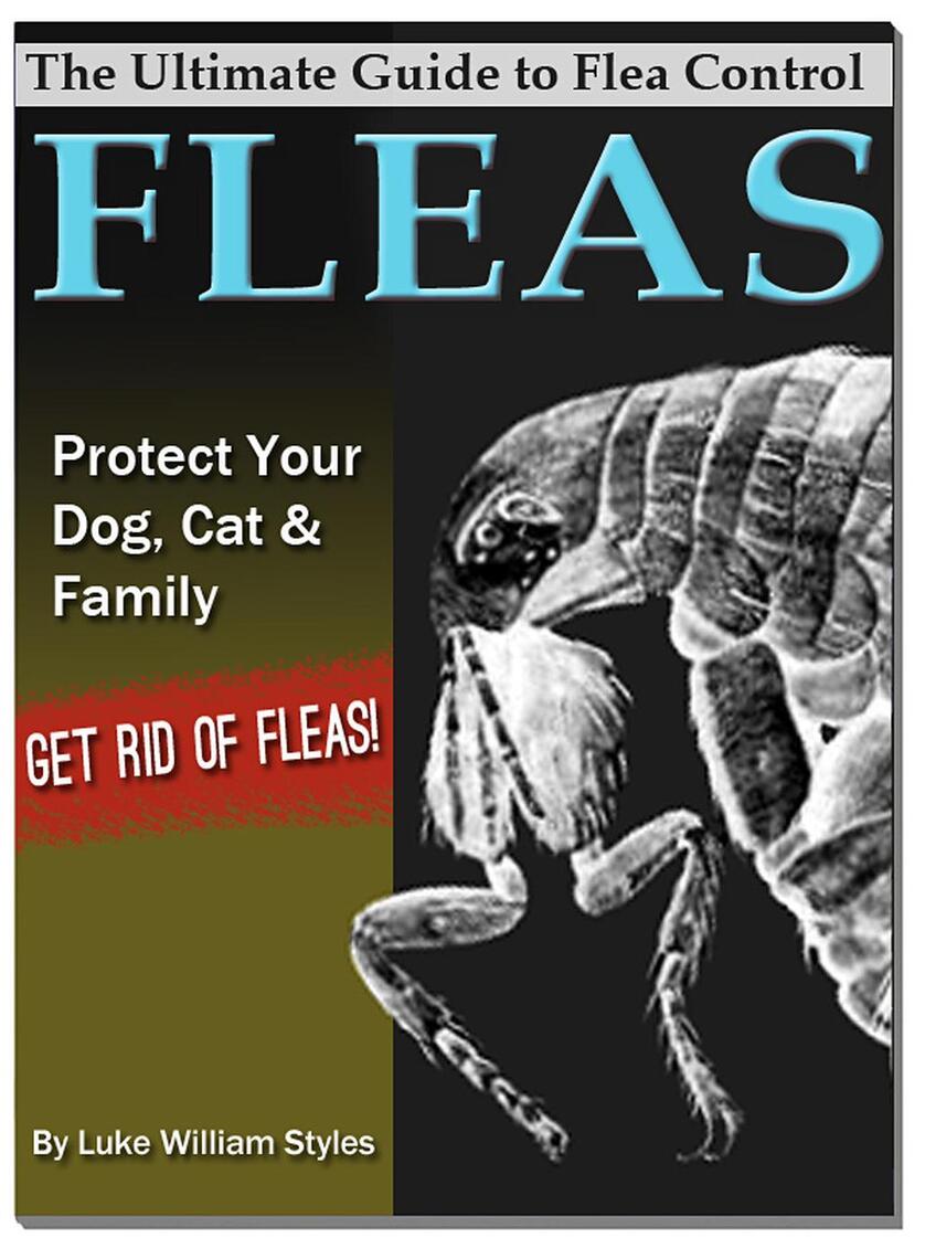 The Ultimate Guide To Flea Control For Pet Owners