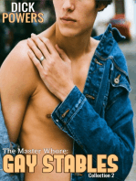 The Master Whore: Gay Stables Collection 2