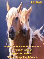 The Adventures of Pony Boy, Book One
