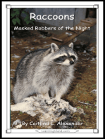 Raccoons: Masked Robbers of the Night