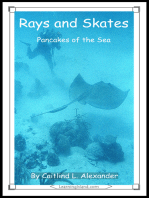 Rays and Skates: Pancakes of the Sea
