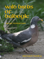 Wild Birds of Baldoyle: An Introduction