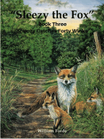Sleezy the Fox: Story Three - Snoozy Catches Forty Winks