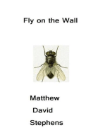 Fly on the Wall