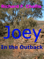 Joey in the Outback
