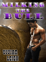 Milking the Bull