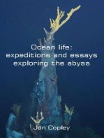 Ocean life: expeditions and essays exploring the abyss: Ocean Life, #1