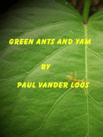 Green Ants and Yam