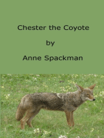 Chester the Coyote