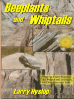 Beeplants and Whiptails: Stories From Nature, The Plants and Animals of Zion National Park