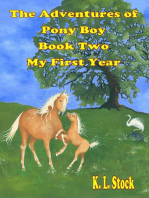 The Adventures of Pony Boy Book Two: My First Year