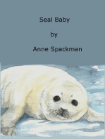 Seal Baby