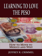Learning to Love the Peso; How to Move to Mexico and Why