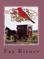 As Her Name Is So Is Redbird-book 4-Nurse Hal Among The Amish