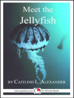 Meet the Jellyfish: A 15-Minute Book for Early Readers