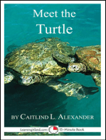 Meet the Turtle: A 15-Minute Book for Early Readers