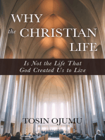 Why the Christian life is not the life that God created us to live