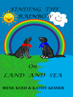 Finding The Rainbow On Land And Sea