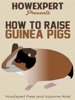 How To Raise Guinea Pigs: Your Step-By-Step Guide To Raising Guinea Pigs
